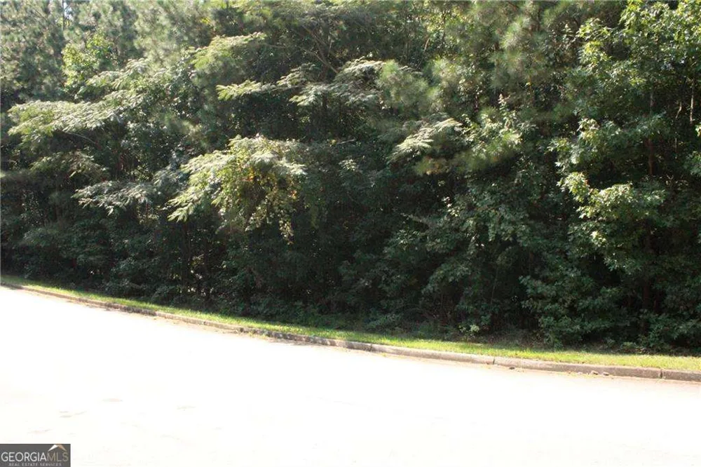 8747 Camron DR Winston, GA 30187