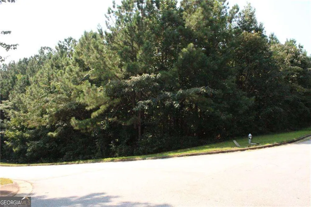 8747 Camron DR Winston, GA 30187