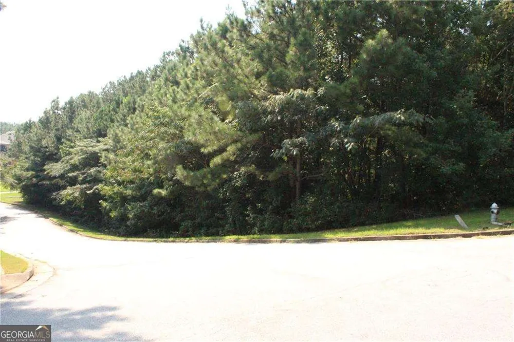 8747 Camron DR Winston, GA 30187