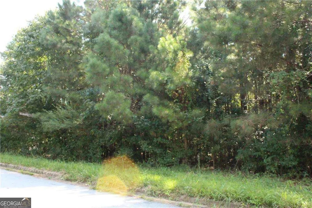 7718 Cheviot DR Winston, GA 30187