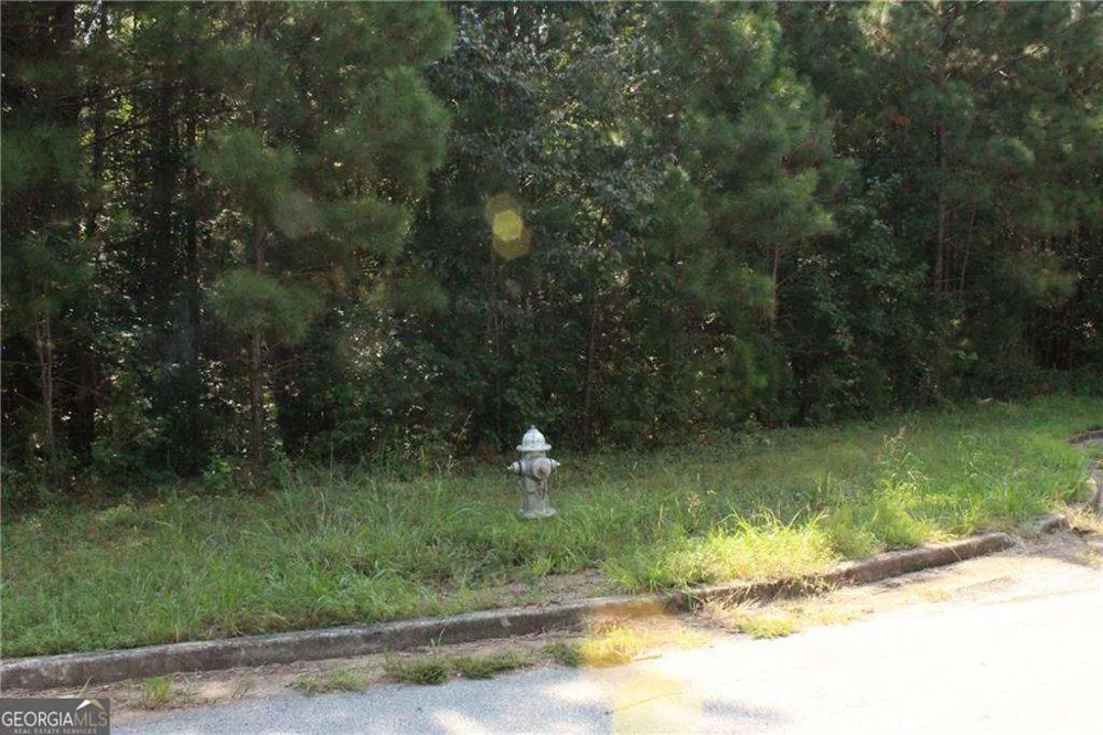 7718 Cheviot DR Winston, GA 30187