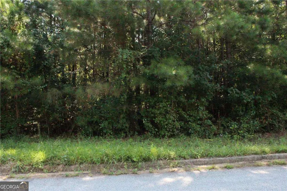 7718 Cheviot DR Winston, GA 30187