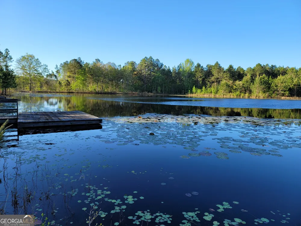 40 Drew Bennett RD Midville, GA 30441