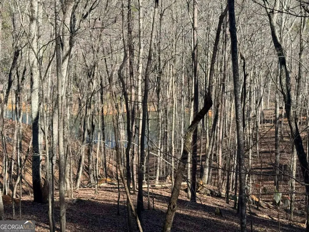 70 Geyser CT Ranger, GA 30734