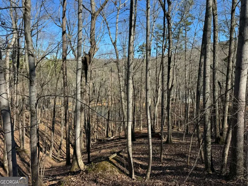 70 Geyser CT Ranger, GA 30734