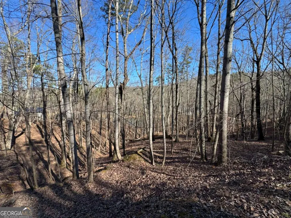 70 Geyser CT Ranger, GA 30734