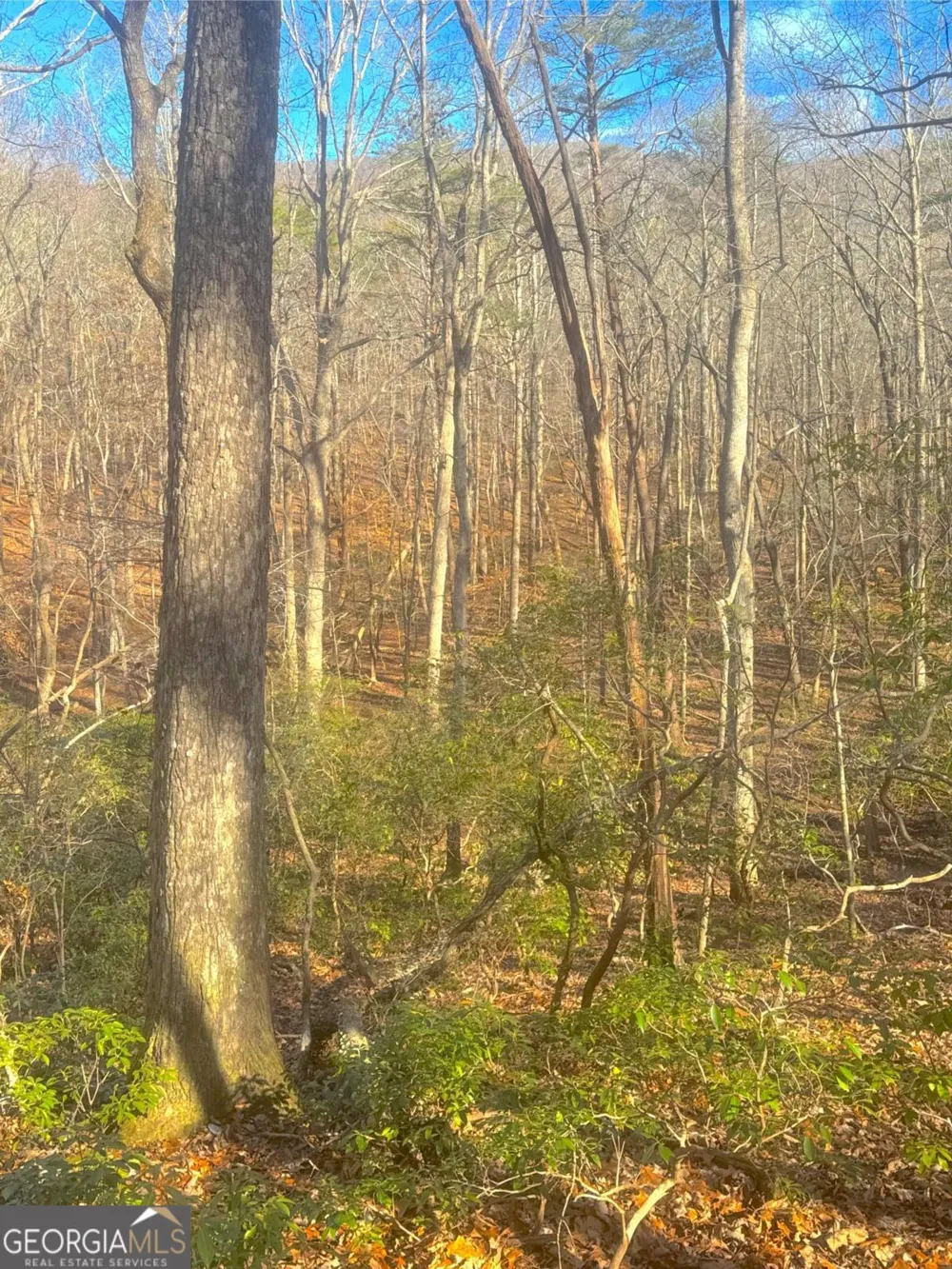 0 Crooked Creek Jasper, GA 30143
