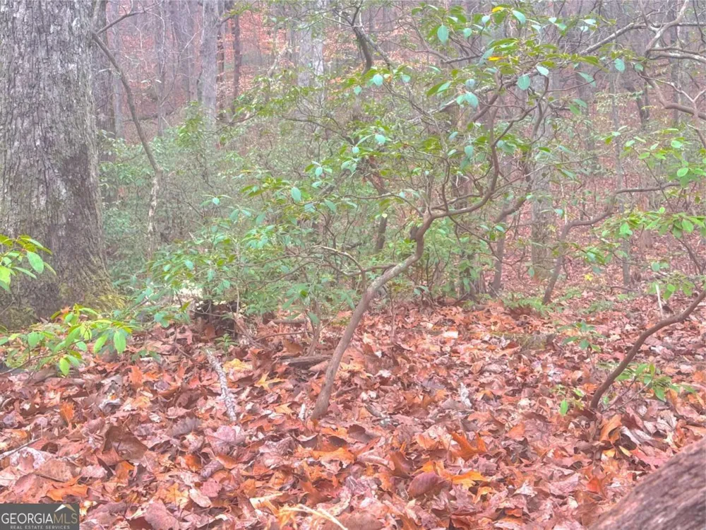 0 Crooked Creek Jasper, GA 30143