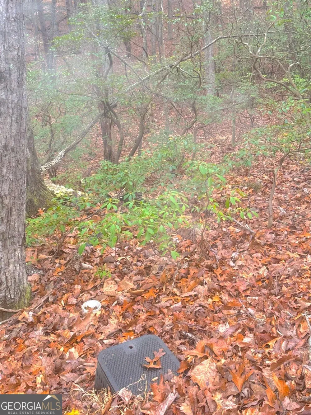 0 Crooked Creek Jasper, GA 30143