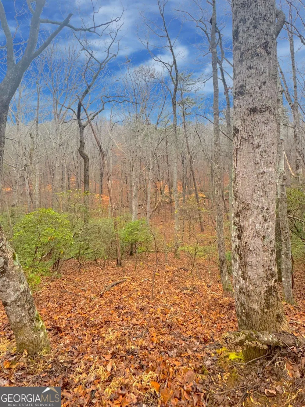 0 Crooked Creek Jasper, GA 30143