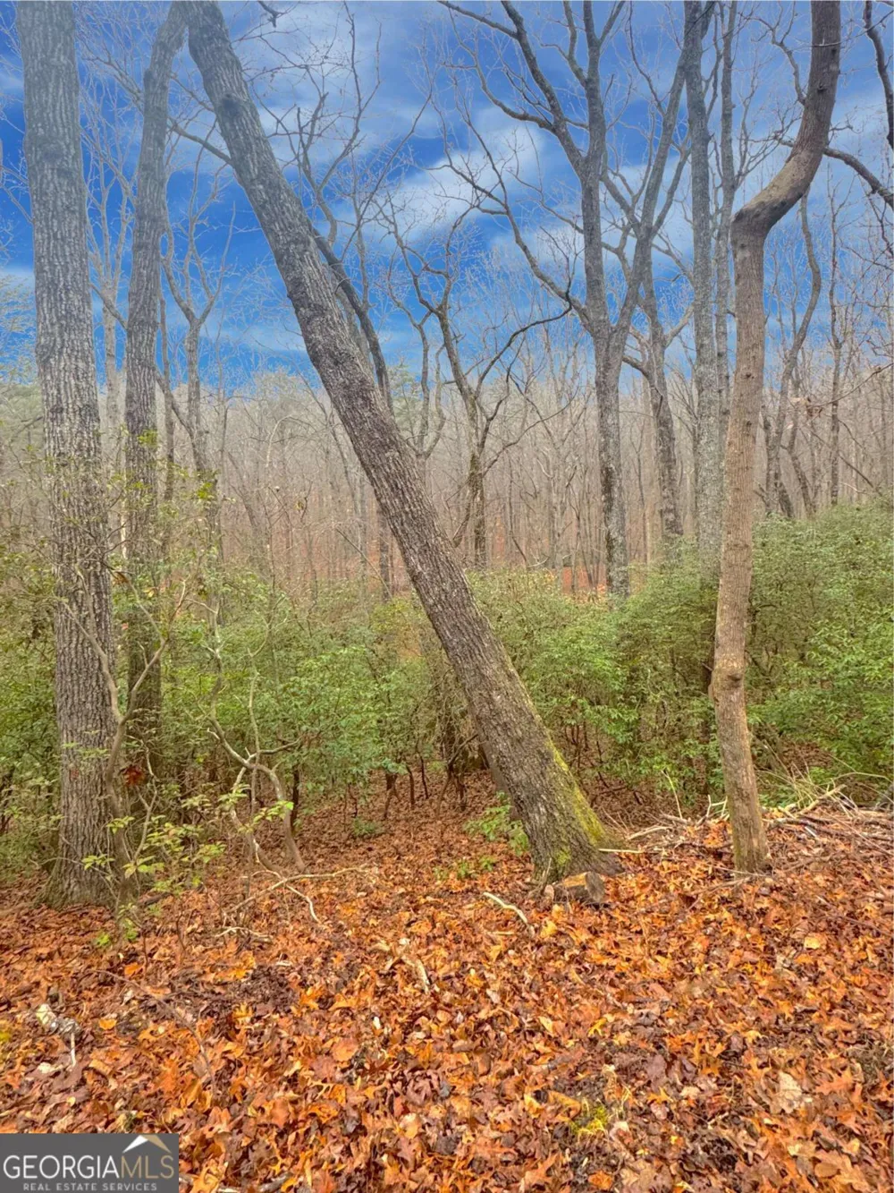 0 Crooked Creek Jasper, GA 30143