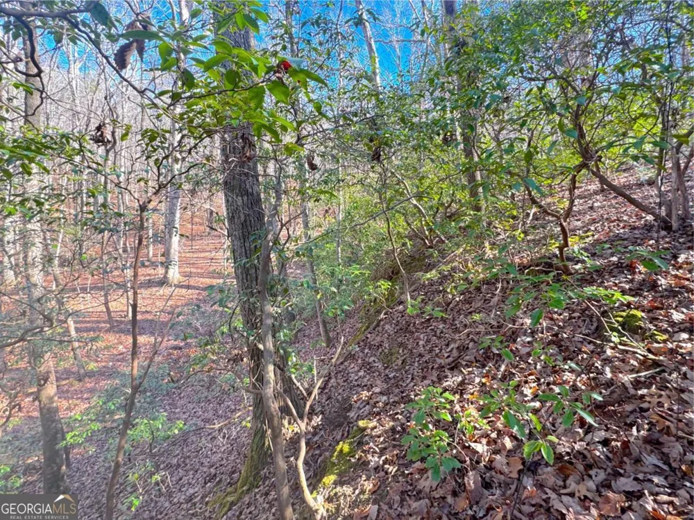 0 Crooked Creek Jasper, GA 30143