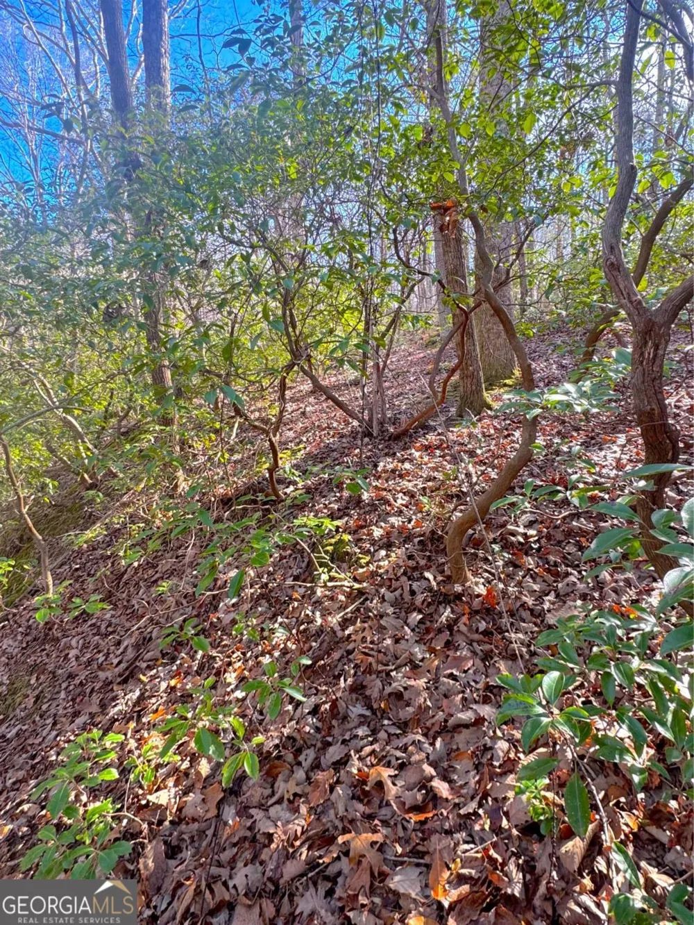 0 Crooked Creek Jasper, GA 30143