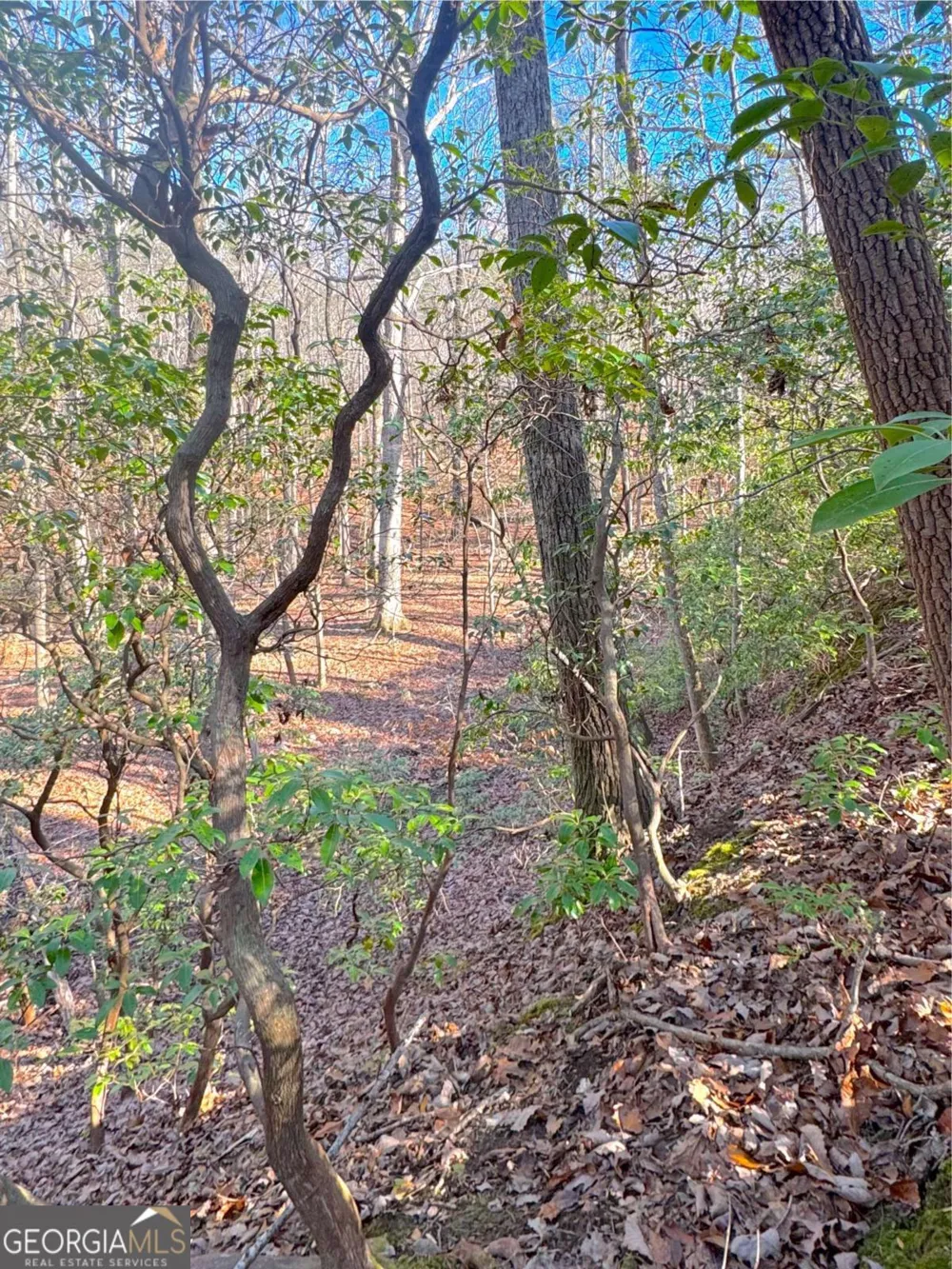0 Crooked Creek Jasper, GA 30143