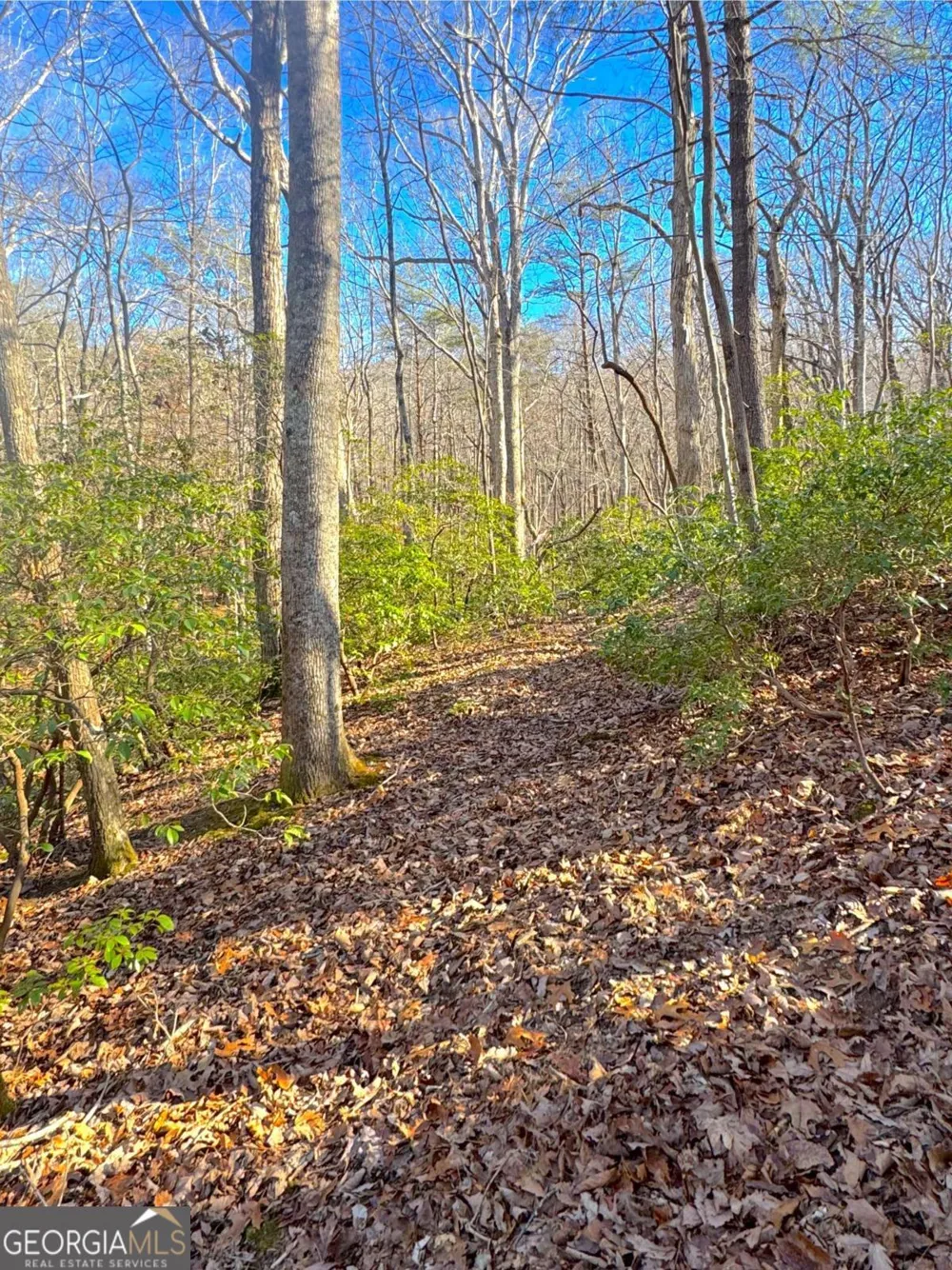 0 Crooked Creek Jasper, GA 30143