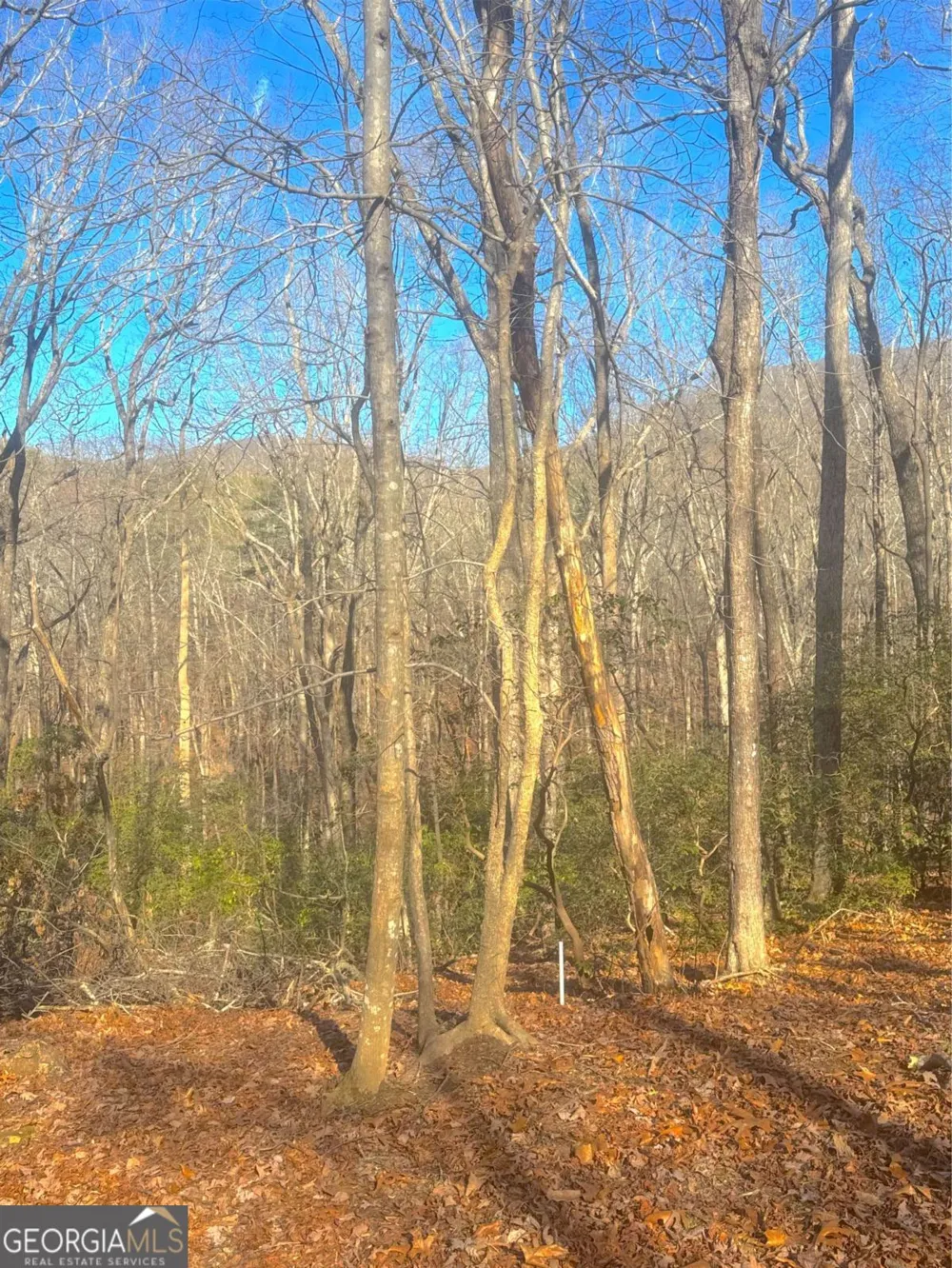 0 Crooked Creek Jasper, GA 30143