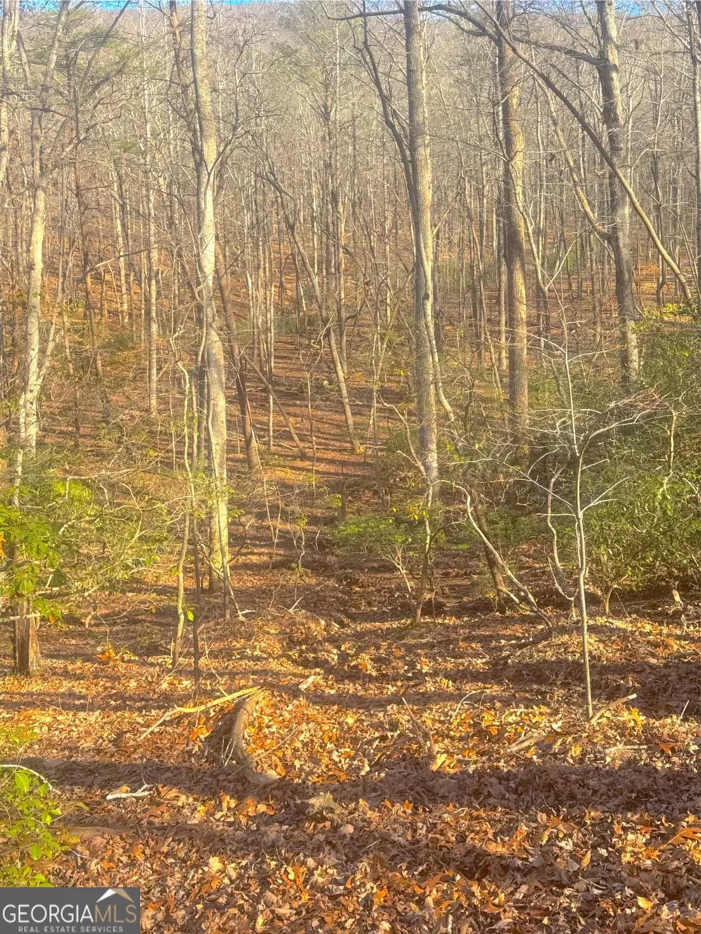 0 Crooked Creek Jasper, GA 30143