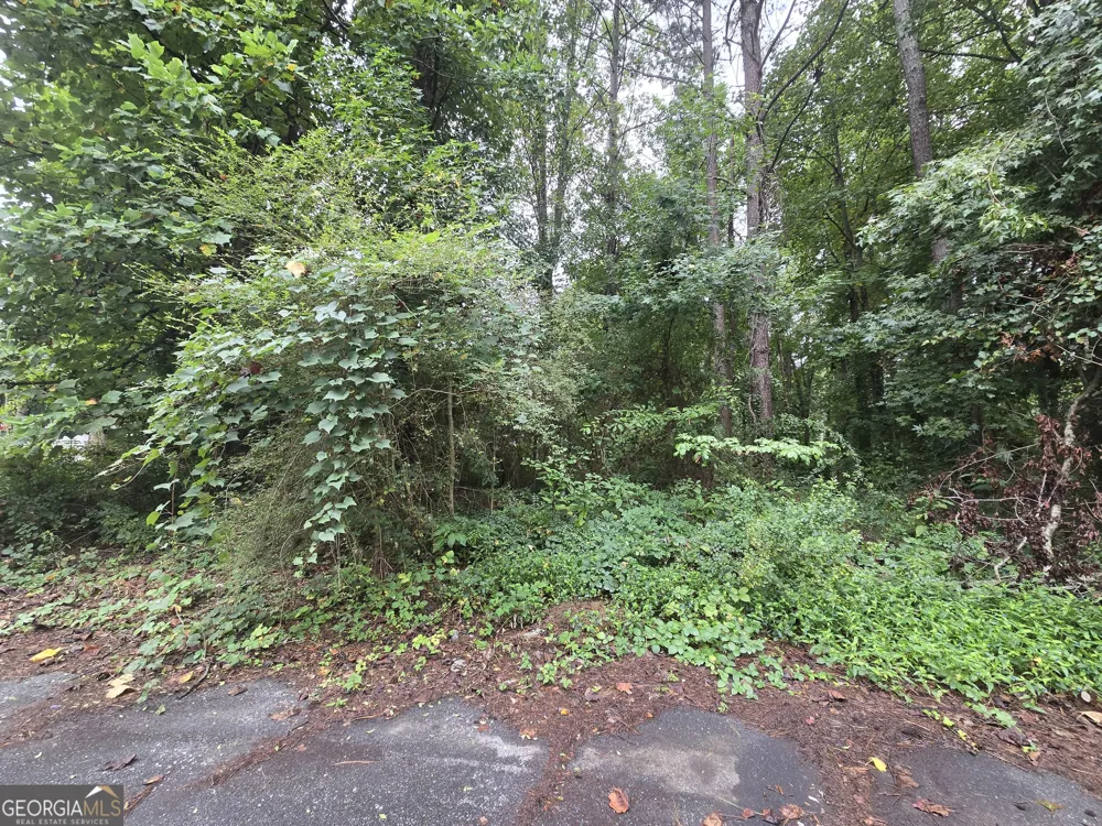 8043 Sparrow CT Jonesboro, GA 30238