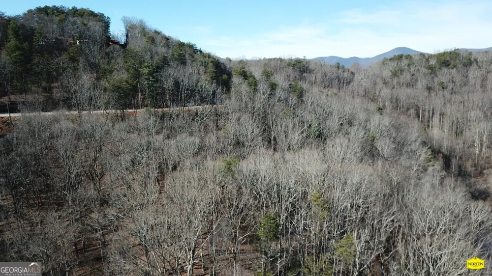 218 Otter WAY Dahlonega, GA 30533