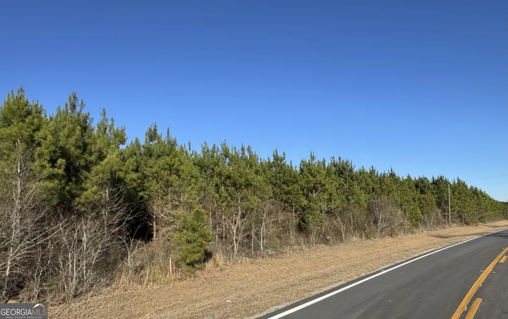 LOT 2A Whitfield RD Elko, GA 31025