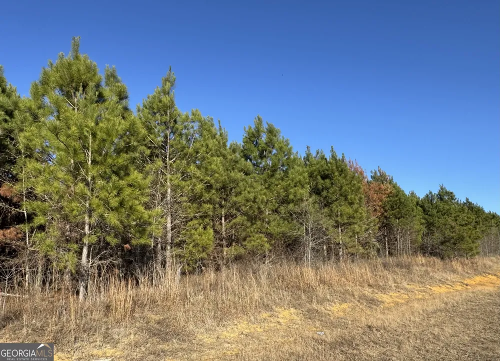LOT 2A Whitfield RD Elko, GA 31025