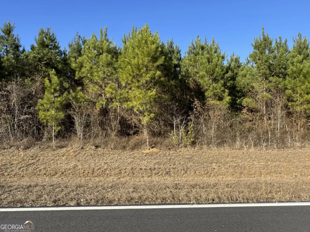 LOT 2A Whitfield RD Elko, GA 31025