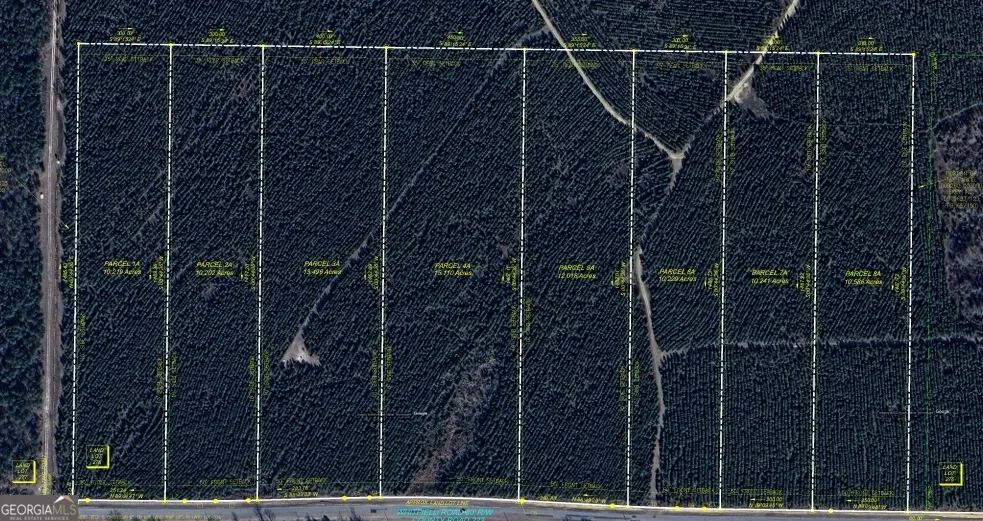 LOT 2A Whitfield RD Elko, GA 31025
