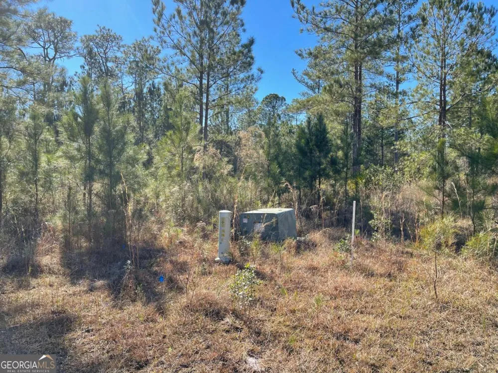 0 Landing TRL Waynesville, GA 31566