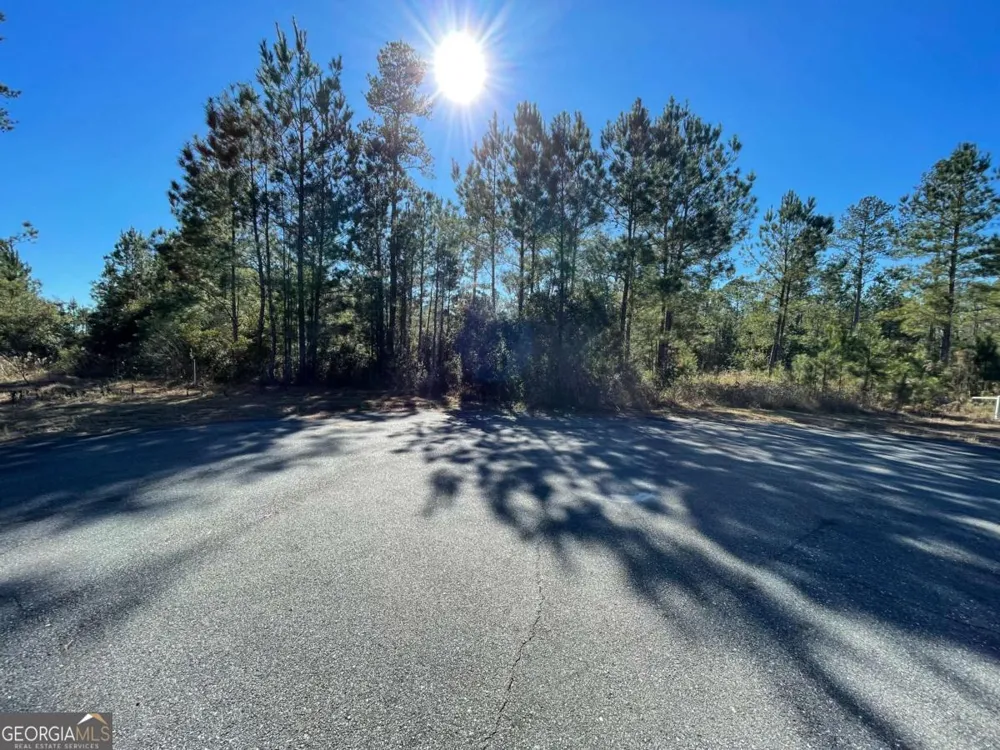 0 Landing TRL Waynesville, GA 31566