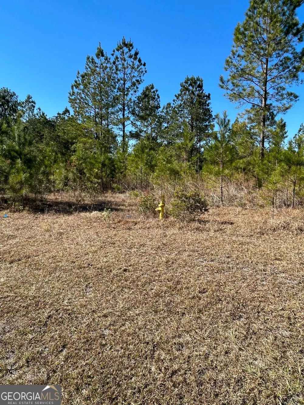 0 Landing TRL Waynesville, GA 31566
