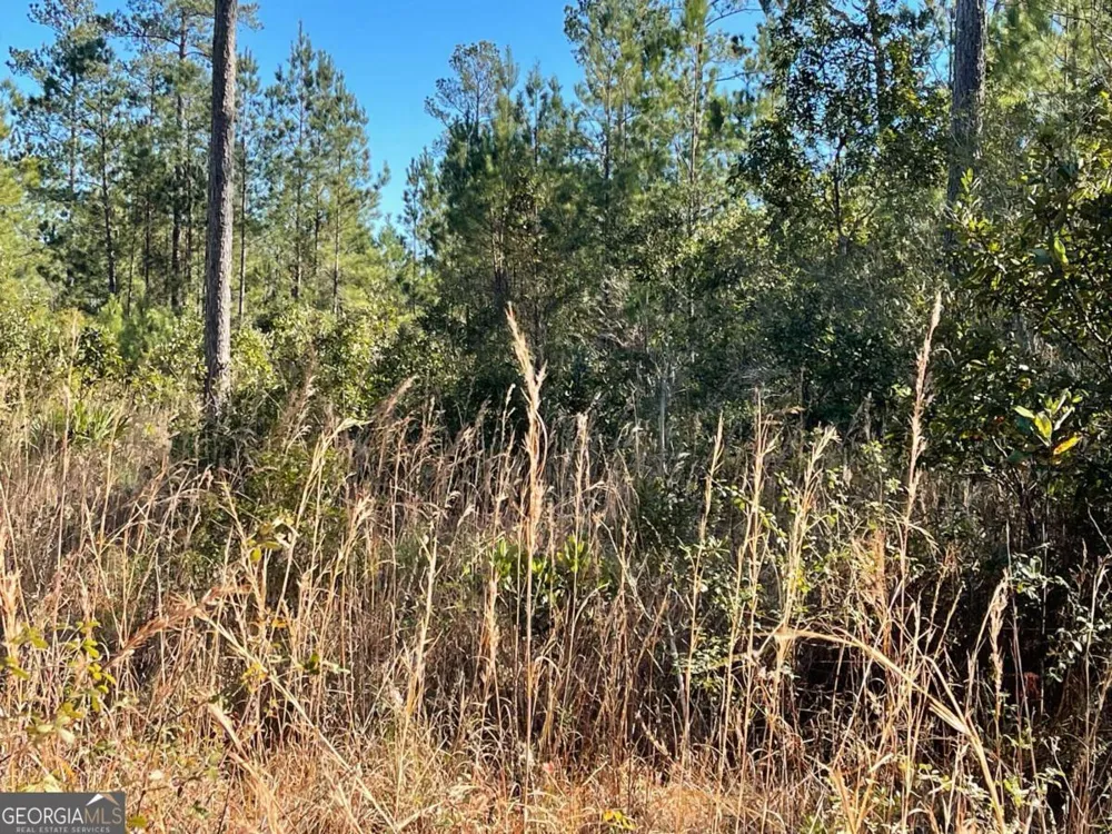 0 Landing TRL Waynesville, GA 31566