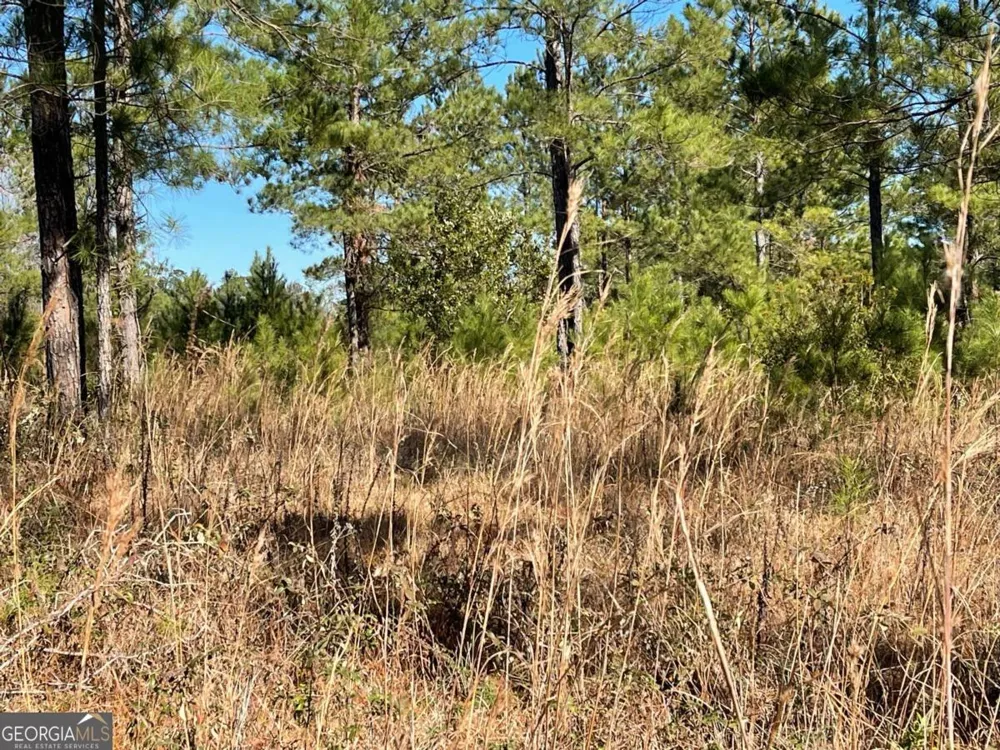 0 Landing TRL Waynesville, GA 31566