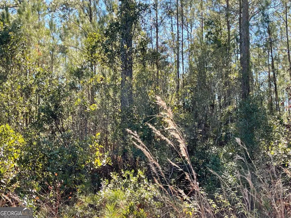 0 Landing TRL Waynesville, GA 31566