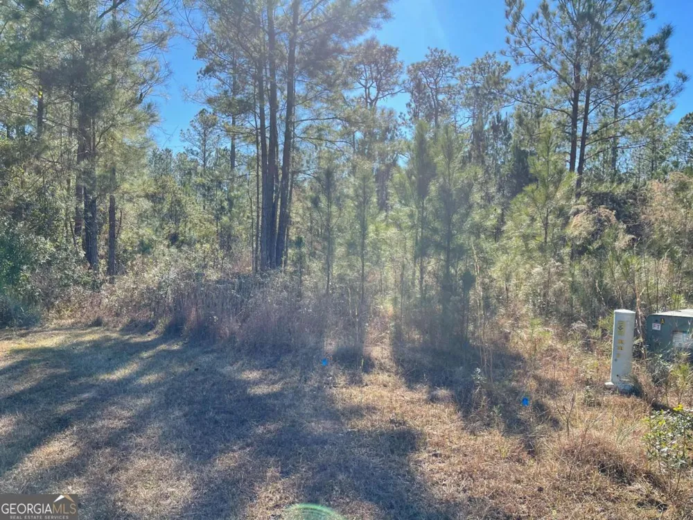 0 Landing TRL Waynesville, GA 31566