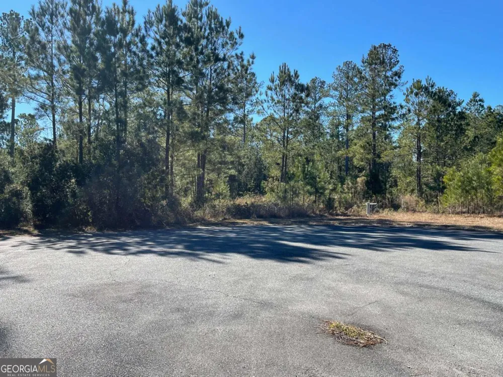 0 Landing TRL Waynesville, GA 31566