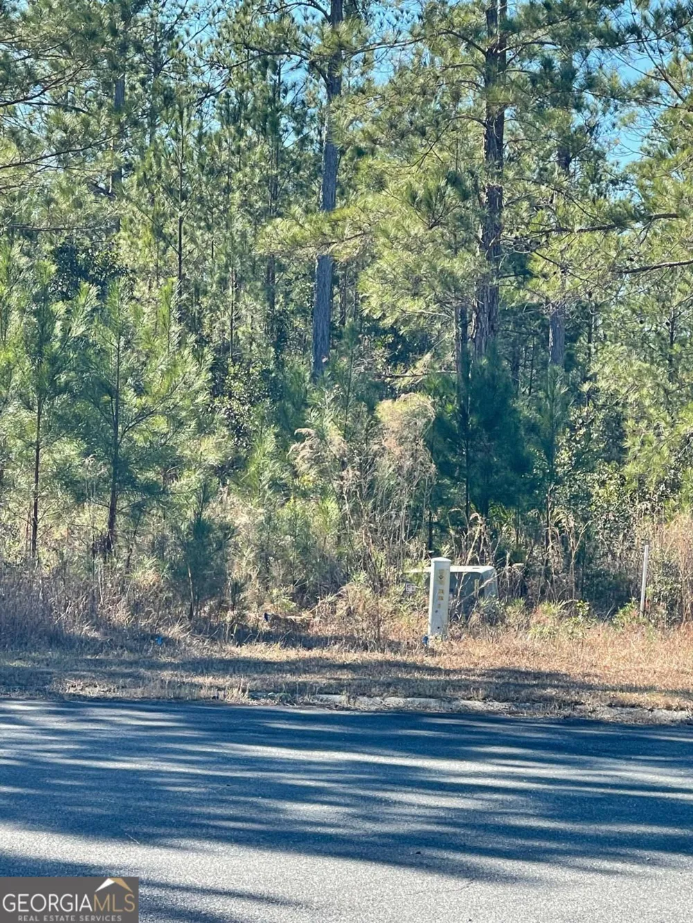 0 Landing TRL Waynesville, GA 31566