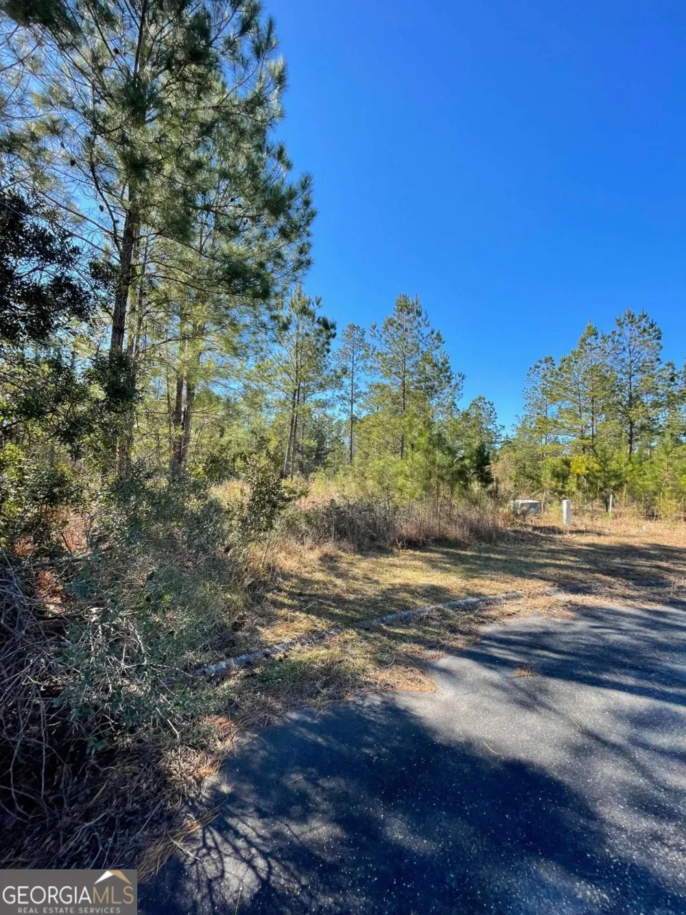0 Landing TRL Waynesville, GA 31566