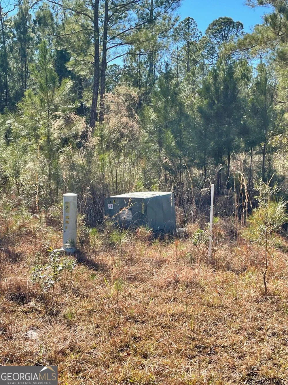 0 Landing TRL Waynesville, GA 31566