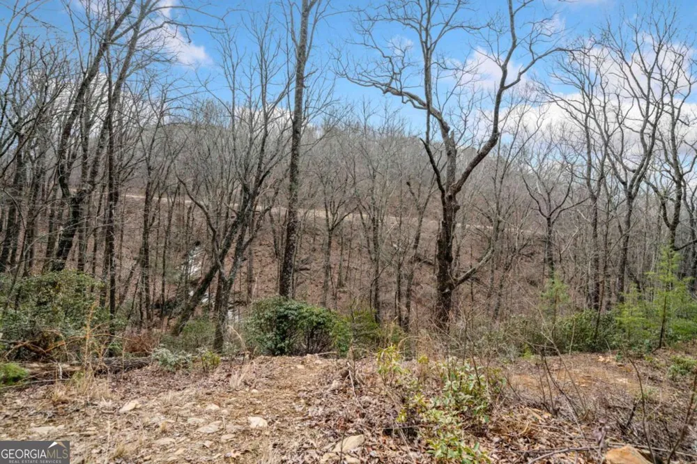 0 Big Oak DR Jasper, GA 30143
