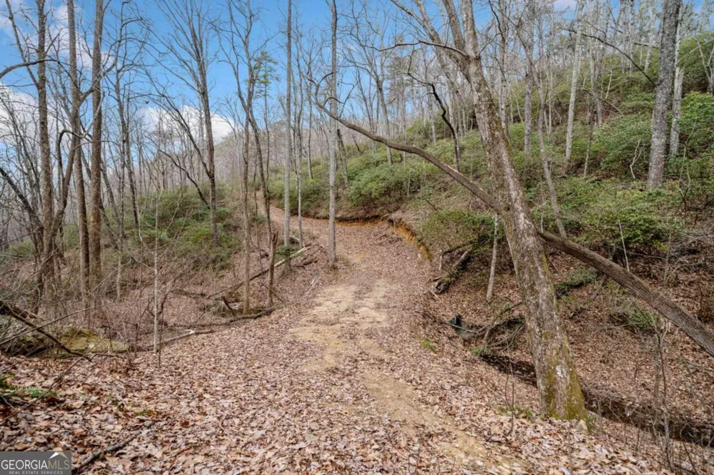 0 Big Oak DR Jasper, GA 30143