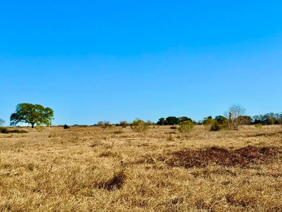 Private Road 2501 Ganado, TX 77962