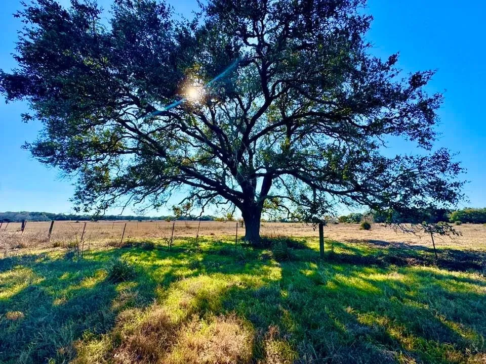 Private Road 2501 Ganado, TX 77962