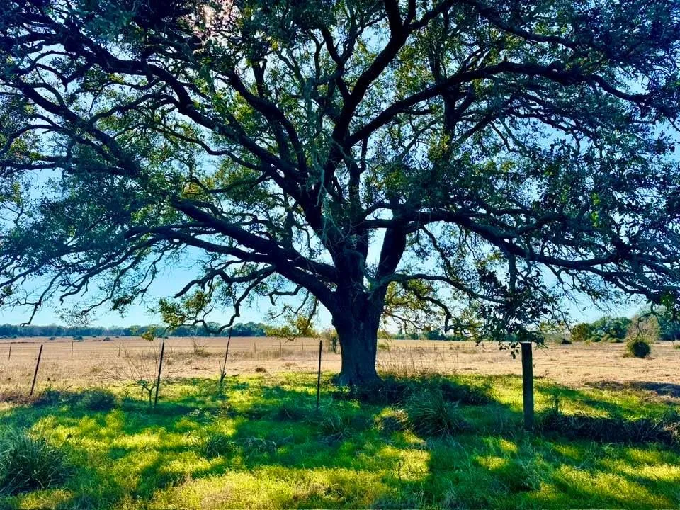 Private Road 2501 Ganado, TX 77962