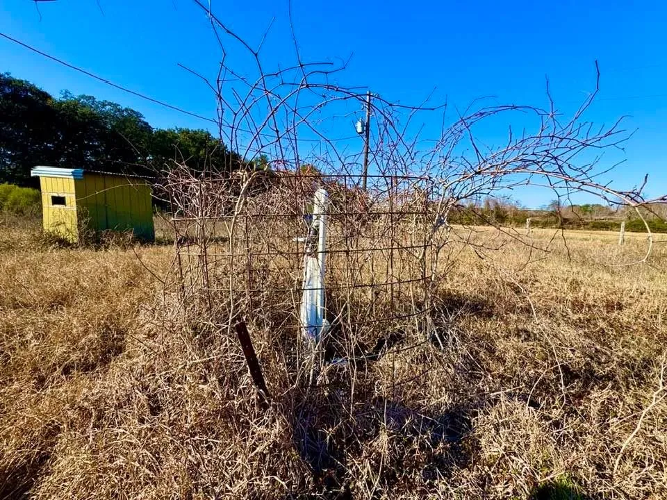 Private Road 2501 Ganado, TX 77962