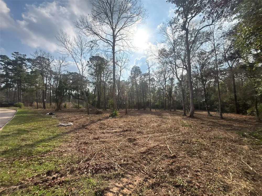 1746 Woodway Drive Woodbranch, TX 77357