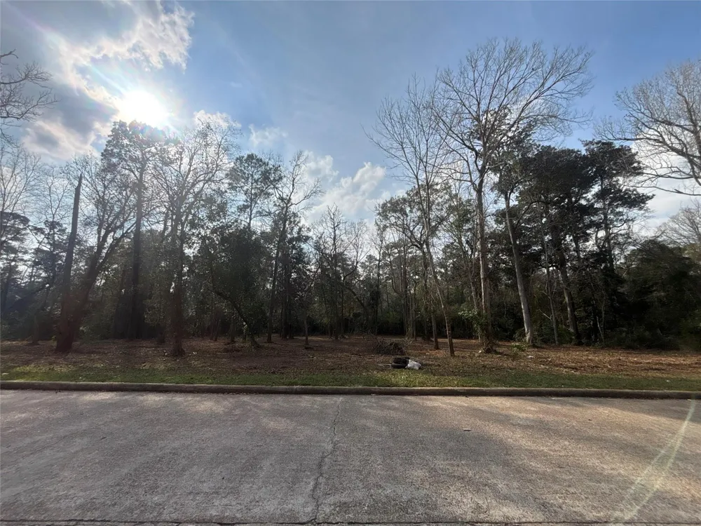 1742 Woodway Drive Woodbranch, TX 77357