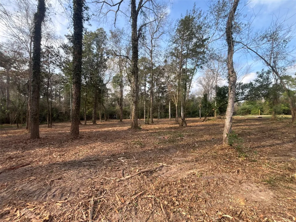 1742 Woodway Drive Woodbranch, TX 77357