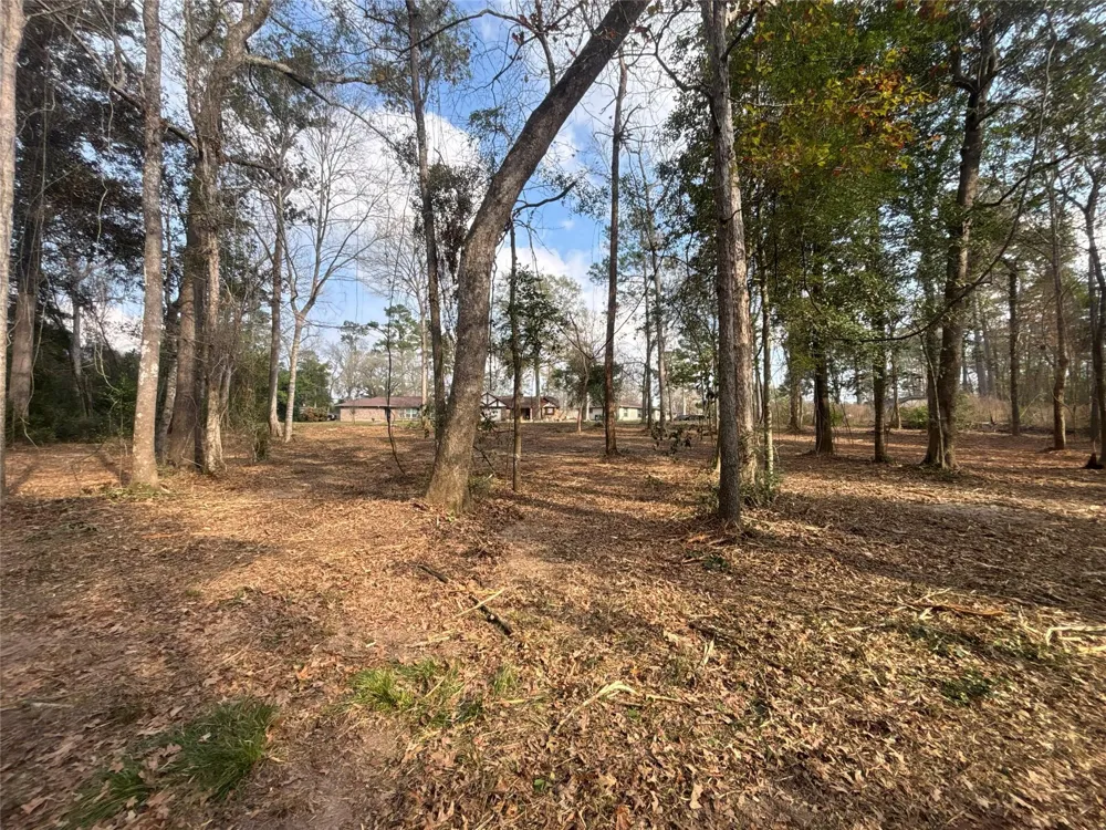 1738 Woodway Drive Woodbranch, TX 77357