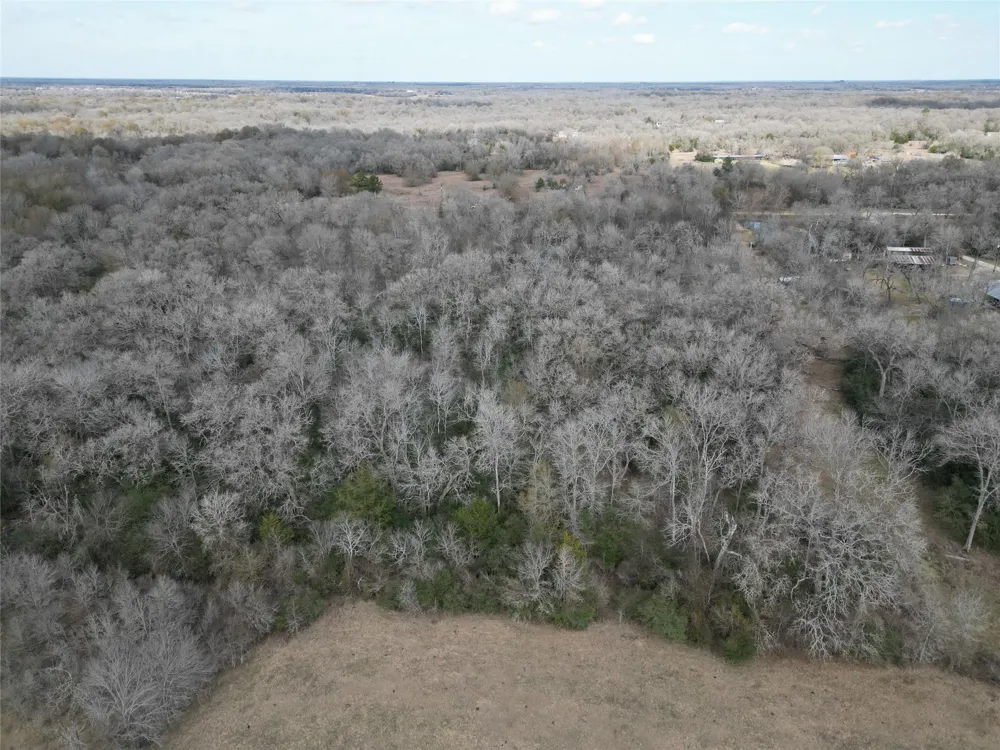 1649 Stone Street Bedias, TX 77831