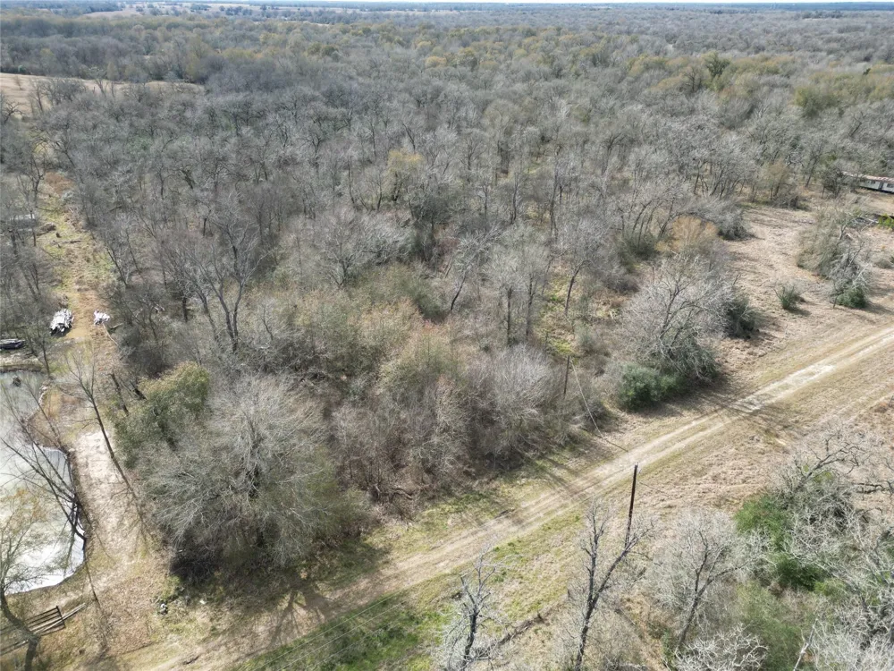 1649 Stone Street Bedias, TX 77831